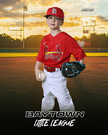M3_ Cardinals_Bain_Rhett_BAY27999_SUNSHINE