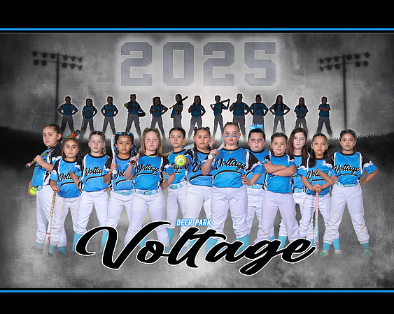 VOLTAGE