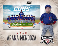 M3_ Cubs_Arana Mendoza_NOAH_BAY12257_MM