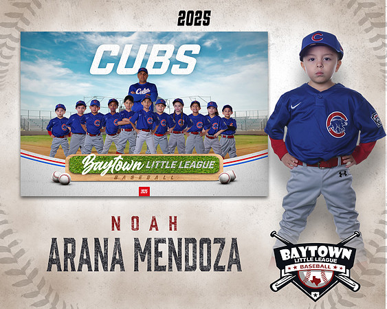 M3_ Cubs_Arana Mendoza_NOAH_BAY12257_MM