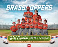 TB GRASSHOPPERS_McLean_Tate