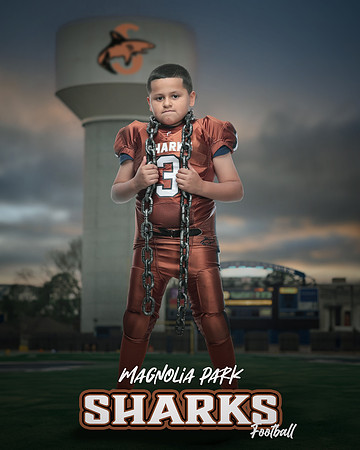 FRESHMAN_Franco_Nicholas_IMGL1098_WATER TOWER_