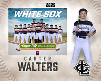 AAA.Bales.WhiteSox_Walters_Carter_143A1140_MM_MM