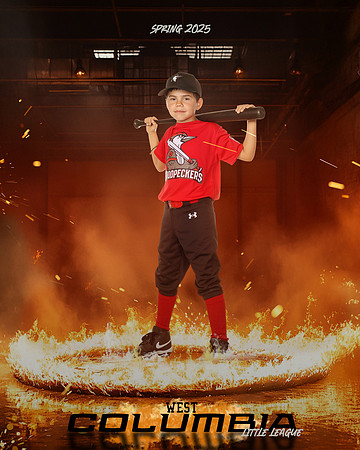 JR MINOR WOODPECKERS_Solis_Slayton_WC010976_ROF_