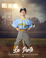 4U_Foal_Rays_Downey_Tex_LP010513_FIELDLIGHTS