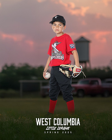 JR MINOR WOODPECKERS_Solis_Slayton_WC010978_TRUCKS_