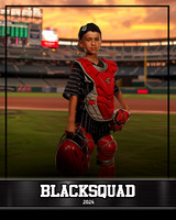 SF_29691_THESHOW_