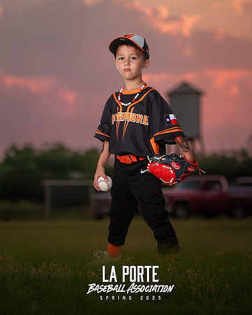 4U_Foal_Orioles_Newell_Ripp_LP010370_TRUCK