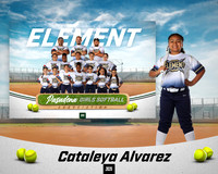 ELEMENT_Alvarez_Cataleya_PGS10286_MM