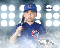 9_10U_Cubs_Wagner_Bremer_MAG12457_LIT