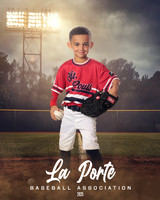 4U_Foal_Cardinals_Sosa_Luca_LP022606_FIELDLIGHTS