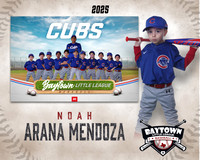 M3_ Cubs_Arana Mendoza_NOAH_BAY12262_MM