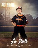 4U_Foal_Orioles_Jarvis_Ryder_LP010393_FIELDLIGHTS
