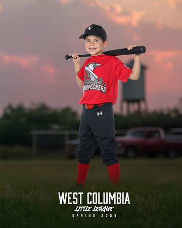 JR MINOR WOODPECKERS_Solis_Slayton_WC010975_TRUCKS_
