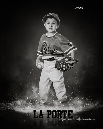 4U_Foal_Cardinals_Chavez_Zed_LP022532_ROF_BW
