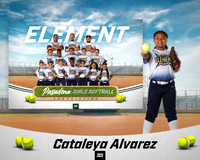 ELEMENT_Alvarez_Cataleya_PGS10290_MM