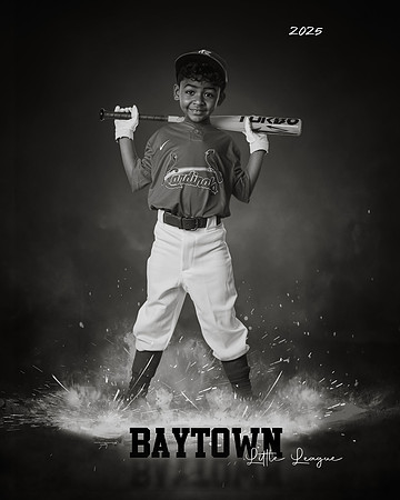 M3_CARDINALS_Hamilton_William_BAY28064_ROFbw
