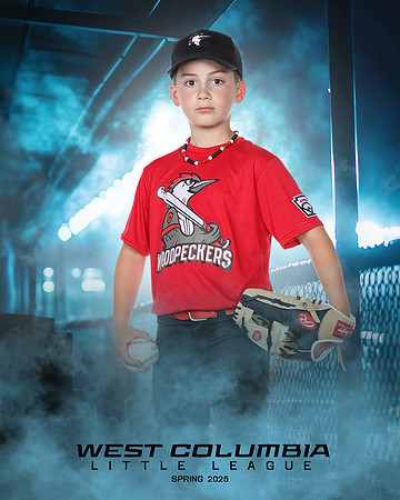 JR MINOR WOODPECKERS_Thomas_Hudson_WC010986_DUGOUT_