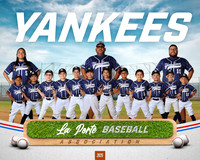 6U_Shetland_Yankees_Diaz_Damon