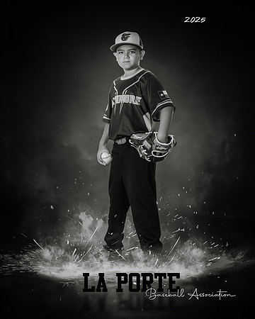 8U_Pinto_Orioles_Ugarte_Usbaldo_LP023666_ROF_BW