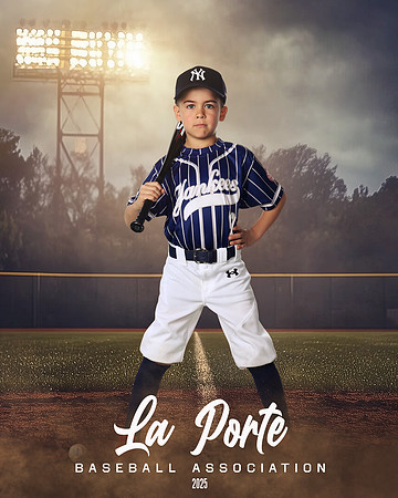 6U_Shetland_Yankees_Diaz_Damon_LP010754_FIELDLIGHTS