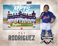 MJR_Mets_Rodriguez_Eli_BAY14158_MM