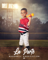 4U_Foal_Cardinals_Sosa_Luca_LP022604_FIELDLIGHTS