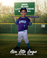 JR_TB_DIAMONDBACKS_Scott_Zion_CAM14119_SIGN