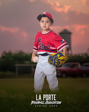 4U_Foal_Cardinals_Chavez_Zed_LP022533_TRUCK