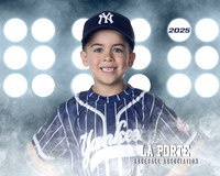 6U_Shetland_Yankees_Diaz_Damon_LP010751_LIT