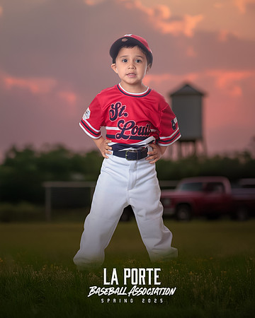 4U_Foal_Cardinals_Chavez_Zed_LP022527_TRUCK