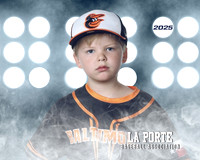 4U_Foal_Orioles_Jarvis_Ryder_LP010394_LIT