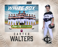 AAA.Bales.WhiteSox_Walters_Carter_143A1143_MM_MM