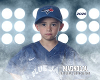4_5U_Blue Jays_Barrera_Abraham_MAG26482_LIT