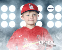 4_5U_Cardinals_Brami_Mason_MAG11653_LIT