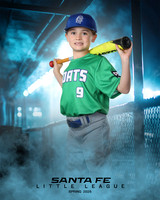 MINORS_YARDGOATS_Houston_Rhyder_SF111306_DUGOUT