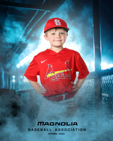 4_5U_Cardinals_Brami_Mason_MAG11653_DUGOUT_