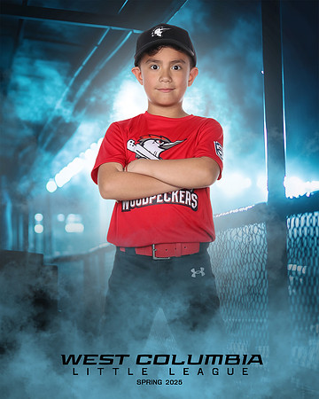 JR MINOR WOODPECKERS_Rios JR_Carlos_WC011000_DUGOUT_