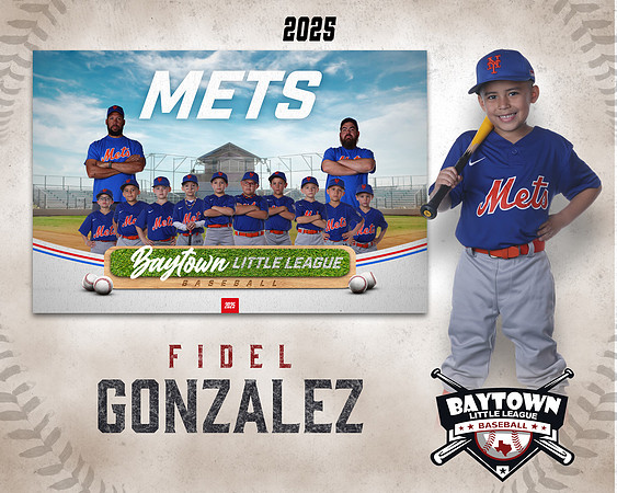 M2_ Mets_Gonzalez_Fidel_BAY12751_MM