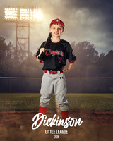CP8_COUGARS_Moon_Mark_DLL12175_FIELD LIGHTS_