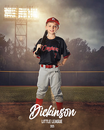 CP8_COUGARS_Moon_Mark_DLL12175_FIELD LIGHTS_