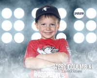 JR MINOR WOODPECKERS_Jenkins_Carter_WC010946_LIT_