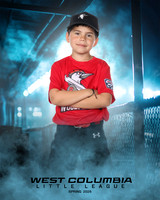 JR MINOR WOODPECKERS_Solis_Slayton_WC010971_DUGOUT_