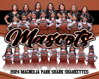 MASCOTS