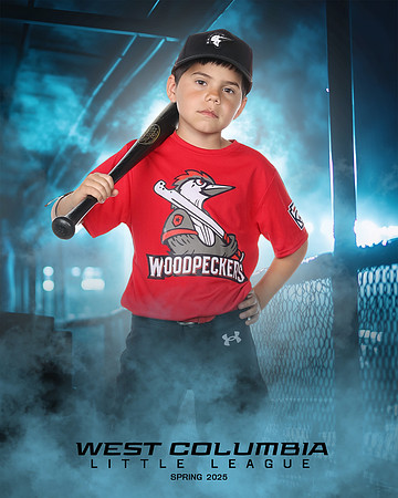 JR MINOR WOODPECKERS_Solis_Slayton_WC010974_DUGOUT_