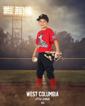 JR MINOR WOODPECKERS_Solis_Slayton_WC010977_FIELD LIGHTS_