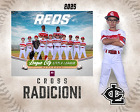 AA.Birkensehr.Reds_Radicioni_Cross_143A0027-2_MM_MM