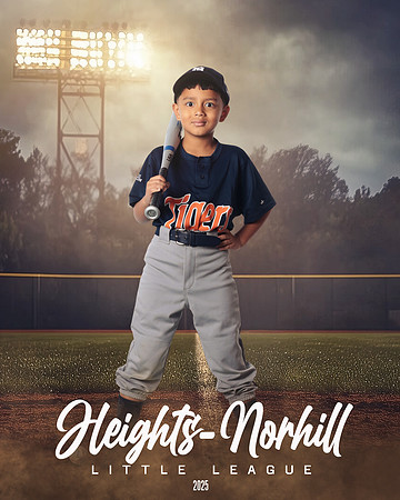 TB_TIGERS_Hernandez_Mason_HN020923_FIELDLIGHTS
