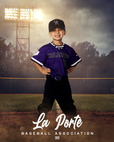 4U_Foal_Rockies_Garcia_Rowan_LP010178_FIELDLIGHTS