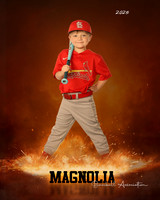 4_5U_Cardinals_Brami_Mason_MAG11655_ROF